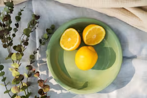 Bring the Summer Feeling Home with Salzkammergut Ceramics