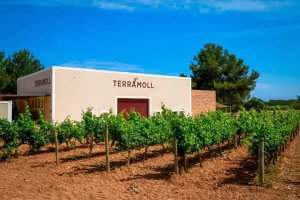 Flavors of Formentera: A New Digital Map for Culinary Discovery