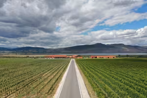 Alpha Estate: Greek Wine Tradition Meets Sustainable Innovation in the Heart of Amyndeon