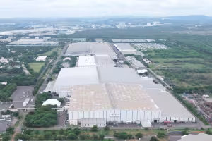 Renault Accelerates in India: What It Means for Car Buyers and the Future of Driving