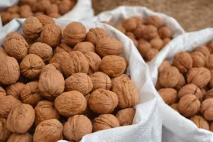 DURABLE Takes Another Important Step Towards a Greener Office with New Recycled Plastic Sleeves and Folders