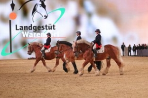 EQUITANA 2023: Sport and breeding, show and shopping