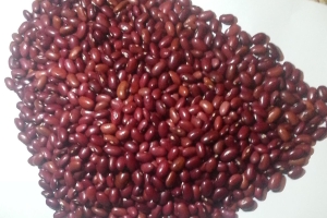 ETHIOPIAN AGRO COMMODITIES SUPPLIER