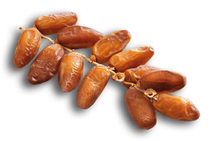 ROYAL PALM DATES FACTORY