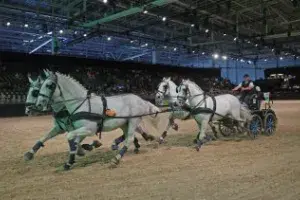 Equitana 2023 - new date for the World Equestrian Show