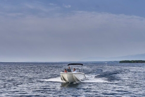 Bayliner M19
