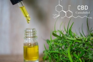 Fitter with CBD? Nutrition trend featured with dedicated area at FIBO