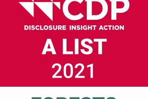 Barry Callebaut leading in corporate action and transparency on deforestation
