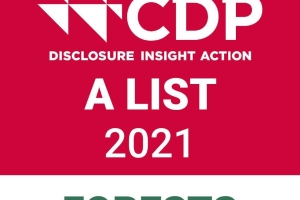 Barry Callebaut leading in corporate action and transparency on deforestation