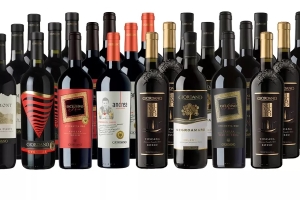 Spanish Wines Shine at ProWein 2024