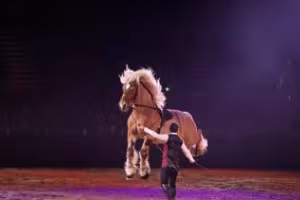 The highlights of Equitana 2023