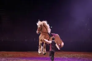 The highlights of Equitana 2023