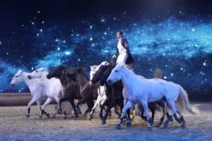Equitana 2022 – the jubilee inspires both visitors and the industry