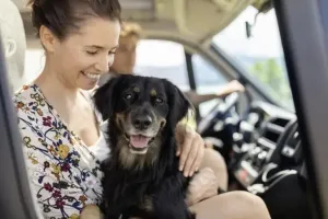 Camping with Your Canine Companion: A Comprehensive Guide for Pet Owners