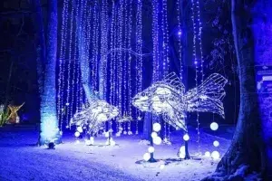 LUMAGICA Meran: A Magical Winter Wonderland at Trauttmansdorff Castle