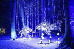 LUMAGICA Meran: A Magical Winter Wonderland at Trauttmansdorff Castle