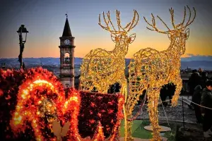 Experience the Magic of Christmas in Italy's Langhe, Monferrato, and Roero Regions