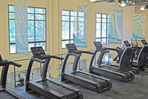 USF and SportsArt Partnership is a Florida First