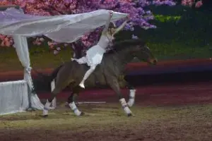 Equitana 2023: Innovation and Stars