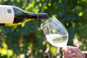 The Wine Group and Southern Glazer's Wine & Spirits Announce Strategic Expansion, Bringing Award-Winning Wines to Six New States