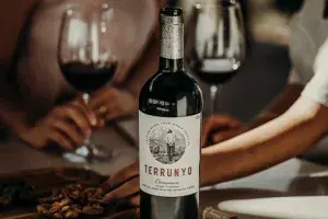Concha y Toro: A 141-Year Legacy of Crafting World-Renowned Wines