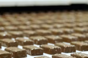 AnnaLife: Leading the Natural Snack Revolution