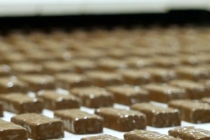 AnnaLife: Leading the Natural Snack Revolution