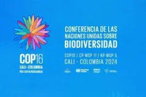 Nature-Positive Tourism Takes Center Stage at COP16 in Colombia