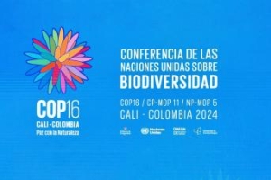 Nature-Positive Tourism Takes Center Stage at COP16 in Colombia