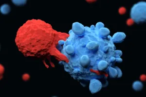 Roche Showcases Promising Lymphoma Advancements at ASH 2024
