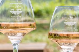 Vins de Provence 
