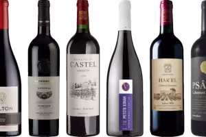 Israeli Wines Make a Splash at ProWein 2024 in Düsseldorf