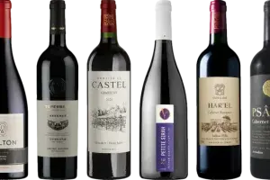Israeli Wines Make a Splash at ProWein 2024 in Düsseldorf