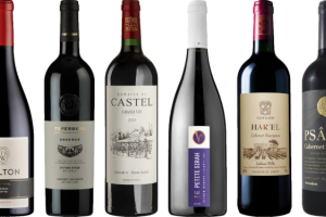 Israeli Wines Make a Splash at ProWein 2024 in Düsseldorf