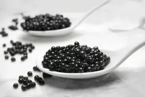 https://khancaviar.eu/en/