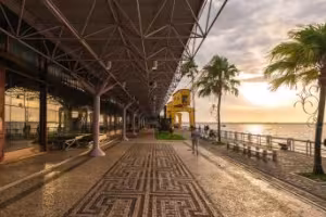 UN Tourism Calls on G20 to Lead the Transformation of the Sector