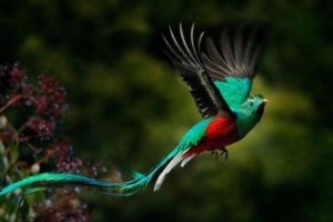 UN Tourism's Committee on Tourism and Sustainability Committee Meets to Spotlight Responsible, Nature-Positive Growth for Sector