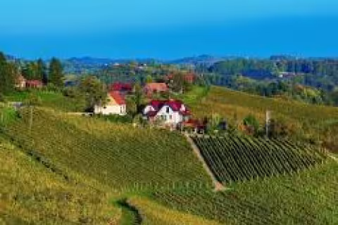 Austrian Wine Shines at ProWein 2024