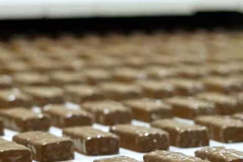 AnnaLife: Leading the Natural Snack Revolution