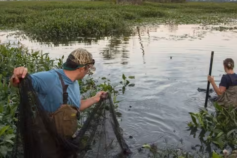 Kia America and The Nature Conservancy Launch $3M Freshwater Conservation Campaign