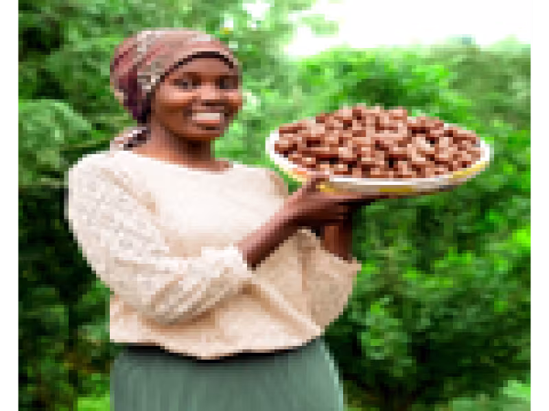 LIMBUA MACADAMIA NUTS: HARD OUTSIDE - FAIR INSIDE