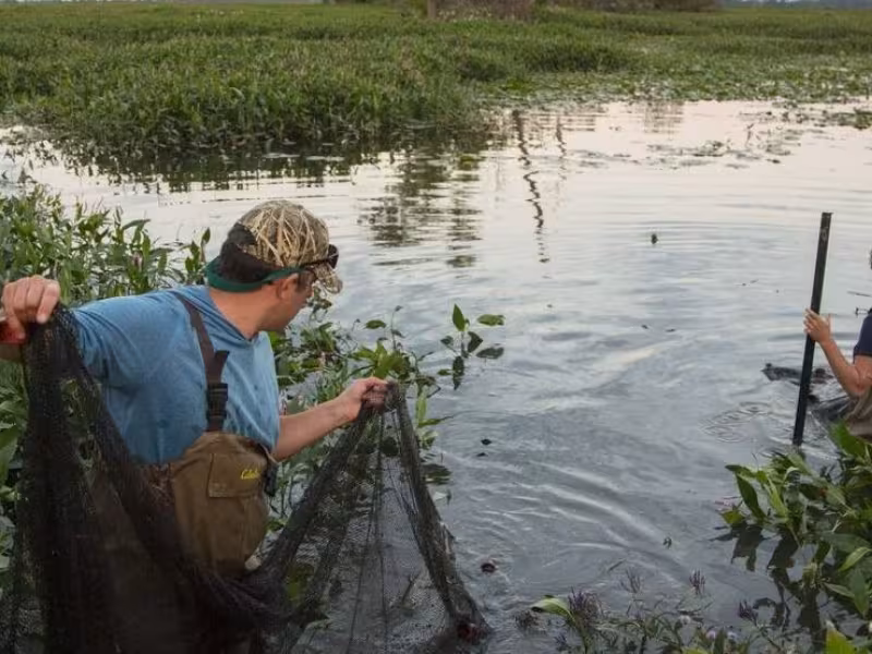Kia America and The Nature Conservancy Launch $3M Freshwater Conservation Campaign