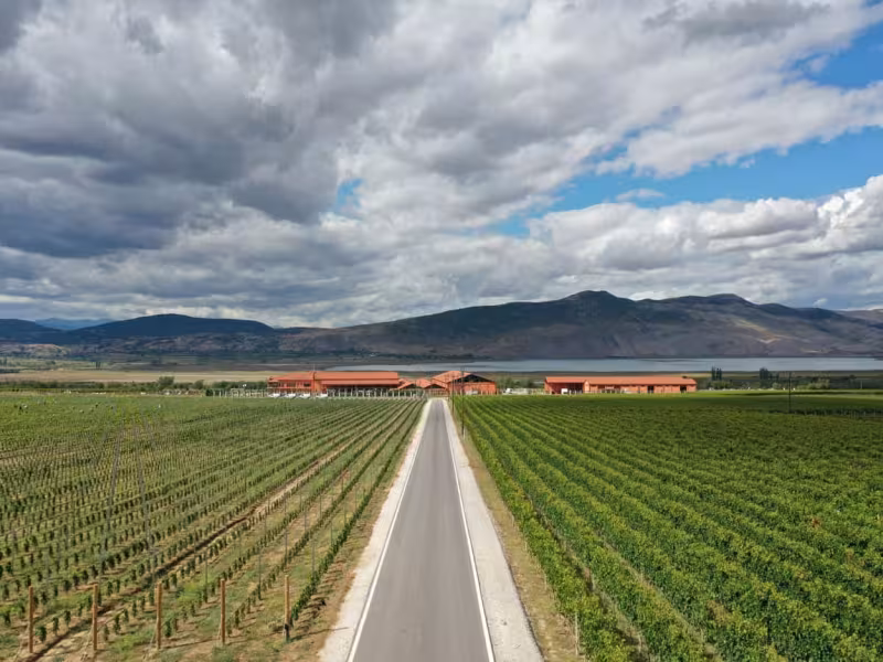 Alpha Estate: Greek Wine Tradition Meets Sustainable Innovation in the Heart of Amyndeon