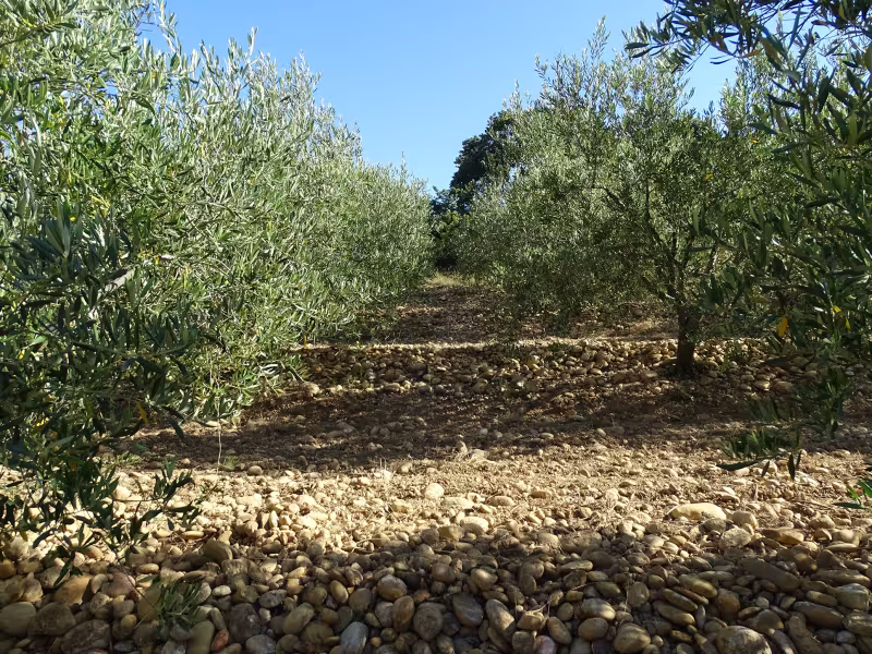 Artemide Unveils Veil: A Modern Classic Chandelier with a Twist