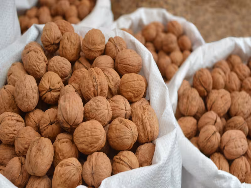 DURABLE Takes Another Important Step Towards a Greener Office with New Recycled Plastic Sleeves and Folders