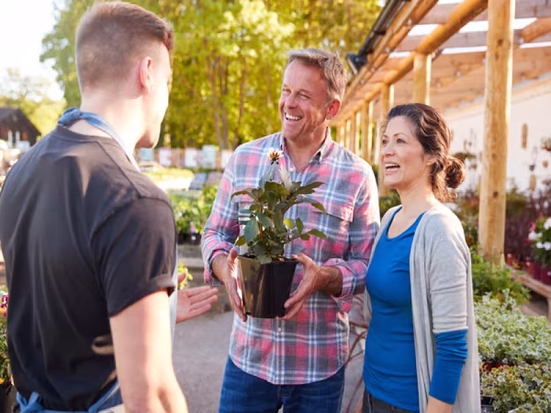 Navigating the Shift: Understanding and Utilizing Peat-Free Potting Soil for Optimal Gardening Navigating the Shift: Understanding and Utilizing Peat-Free Potting Soil for Optimal Gardening