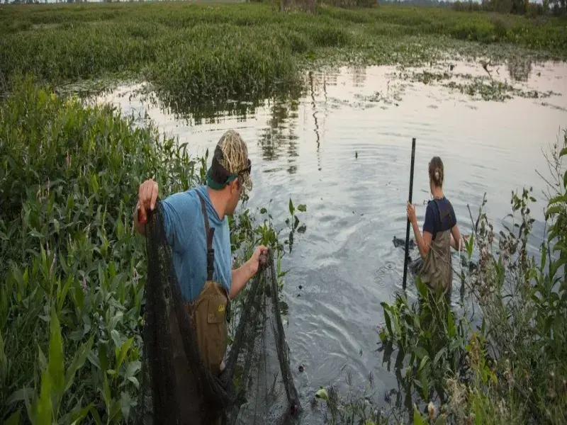 Kia America and The Nature Conservancy Launch $3M Freshwater Conservation Campaign