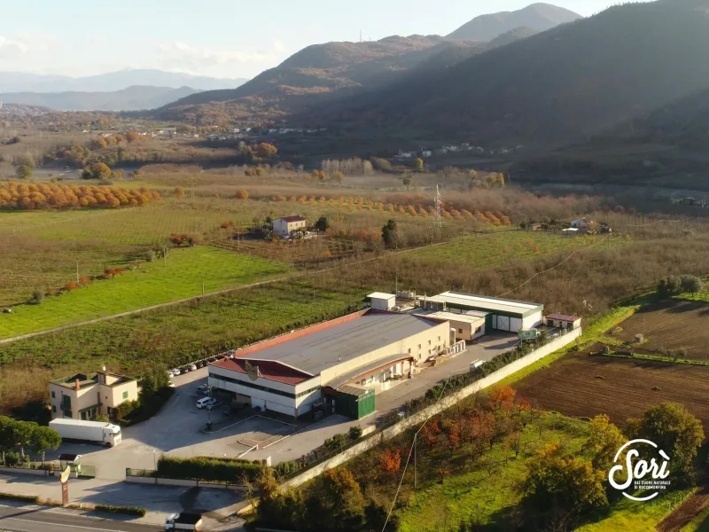 Sorì among the first companies to be certified by the DQA for animal welfare in breeding