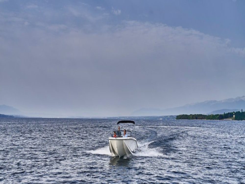 Bayliner M19