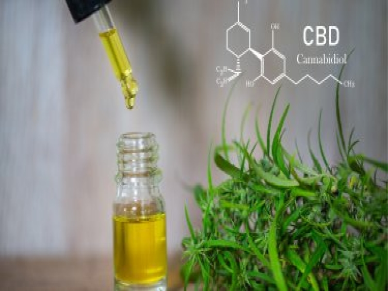 Fitter with CBD? Nutrition trend featured with dedicated area at FIBO